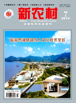 新农村