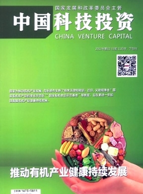 中国科技投资